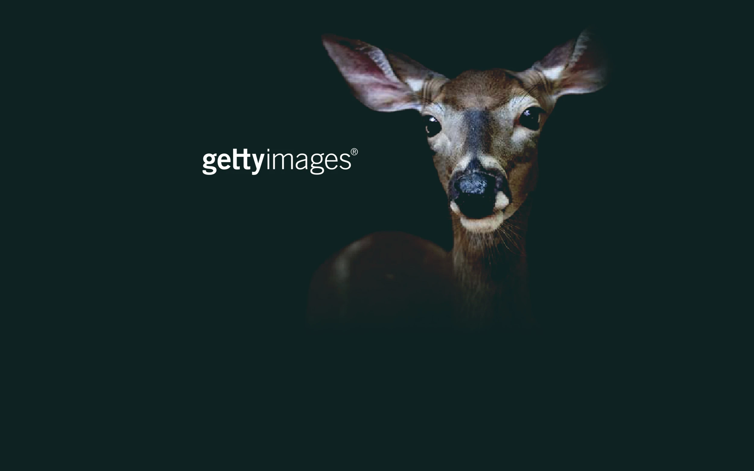 Adventskalender – Getty Images