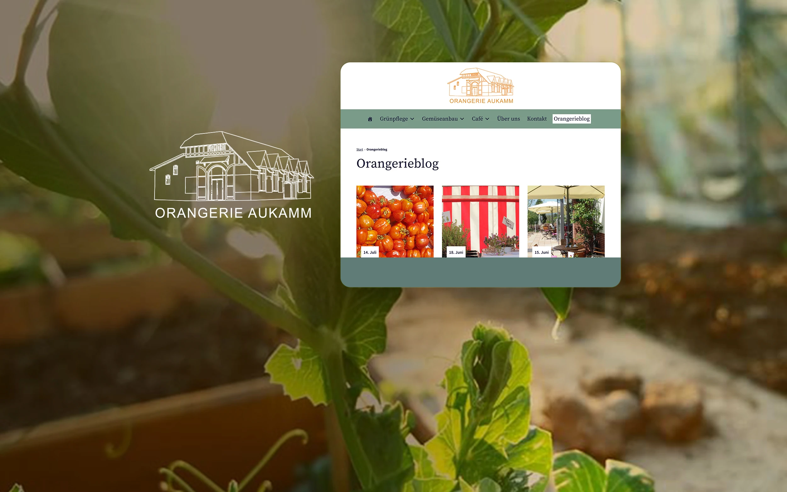 Gärtnerei Website – DBS gGmbH